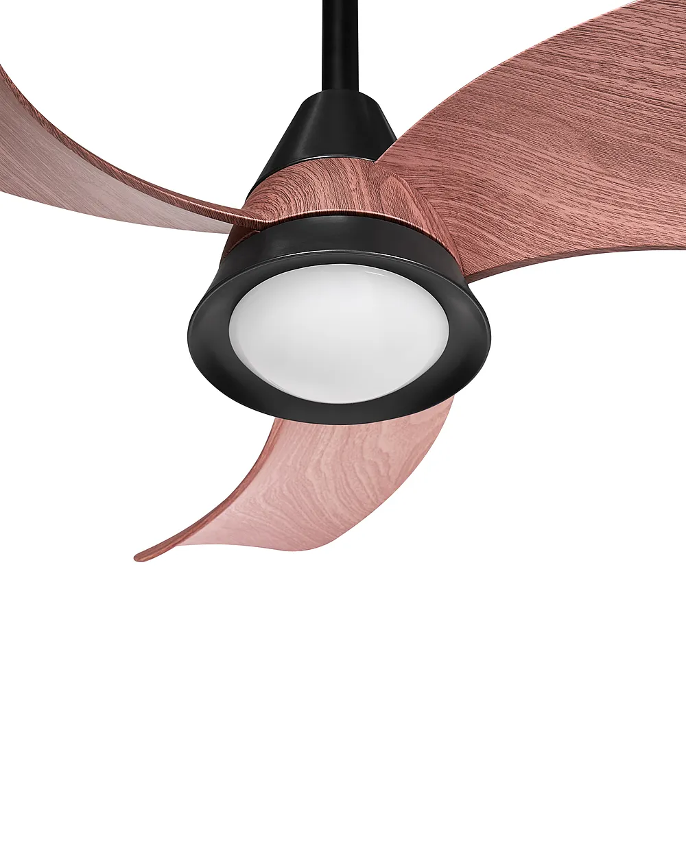 Plafondventilator met verlichting HAINES met afstandsbediening LED Zwart_1133362