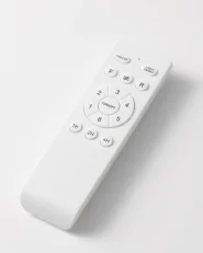 Stropni ventilator z lučjo TROUT z daljinskim upravljalnikom LED Črna_1186211