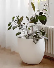 Blumenkübel KANNIA 55 cm Weiß_887669