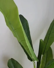 Kunstpflanze MUSA TREE 154 cm Grün_976635