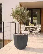 Blumenkübel CHIOS 44 cm Schwarz_1081315