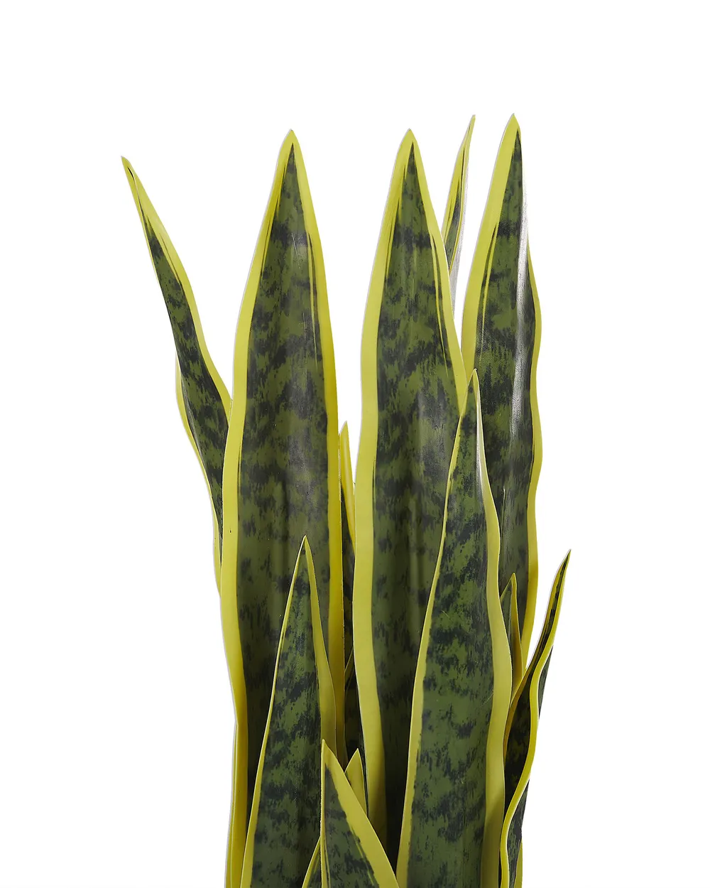 Kunstpflanze SNAKE PLANT 63 cm Grün_774037