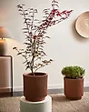 Blumenkübel DARIA 30 cm Braun