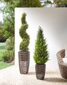 Set mit 2 Blumentöpfen CHELONE 26/34 cm Polyrattan Braun