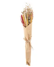 Trockenblumenstrauß PAMPELUNA 65 cm Naturfarben_835266
