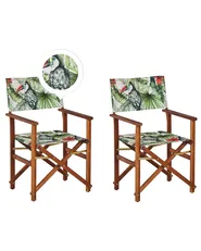 Gartenstuhl 2er Set CINE Akazienholz Grün_819056