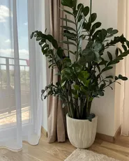 Blumenkübel CHIOS 31 cm Beige_933348