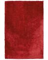 Zottelteppich EVREN Rot 200 x 300 cm