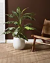 Blumenkübel LIVADIA 27 cm Cremeweiß