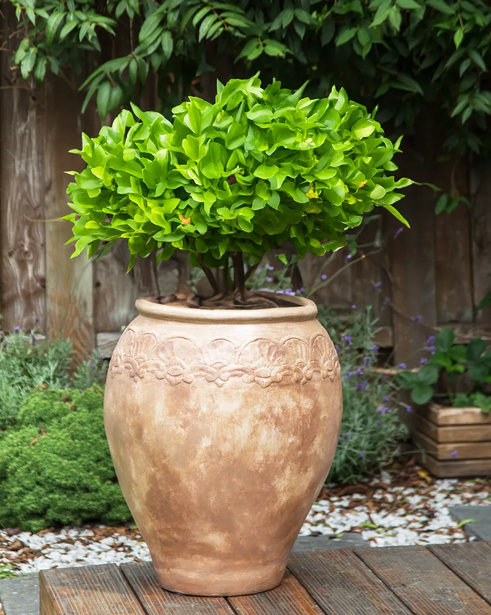 Plant Pot PYRUS 48 cm Brown