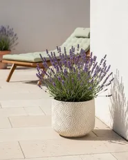 Blumenkübel ERIROS 31 cm Hellbeige_1032413