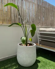 Blumenkübel LIVADIA 39 cm Cremeweiß_1005195