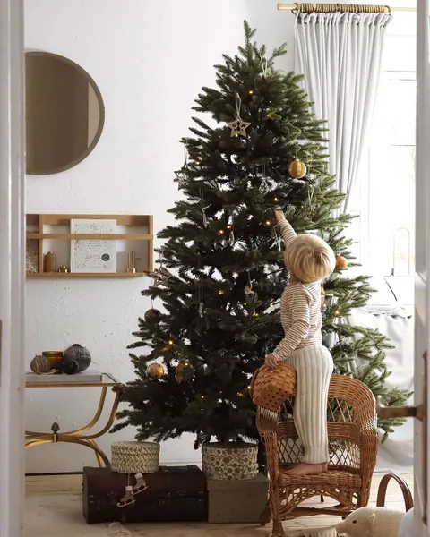Weihnachtsbäume bis zu 50% günstiger online kaufen