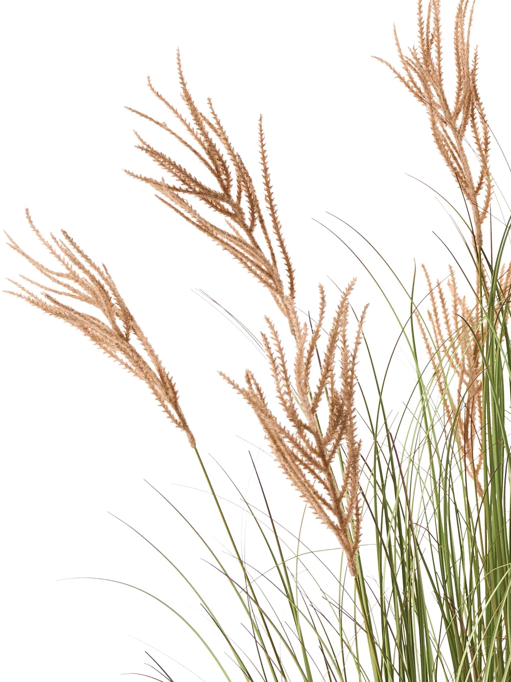 Kunstpflanze CLAW FLOWER 150 cm Grün_1018538