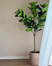 Artificial Plant FIG TREE 162 cm Green_1006142