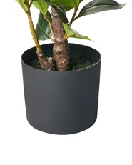 Kunstpflanze CAMELLIA 60 cm Grün_1028609