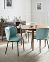 Set of 2 Dining Chairs ARTESIA  Fabric Mint Green