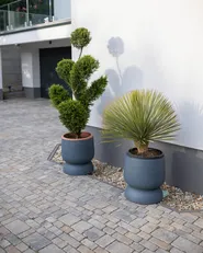 Blumenkübel ARAUCARIA 42 cm Grau_980346