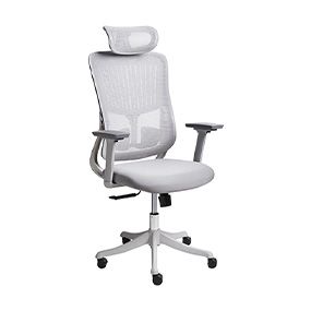 Chaises de bureau professionnelles