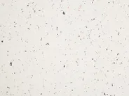 Beistelltisch BIVIERE 39 cm 39 cm Terrazzo Optik Cremeweiß_918805