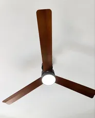 Ceiling Fan with Light JEREMY with Remote LED Brown_1129351