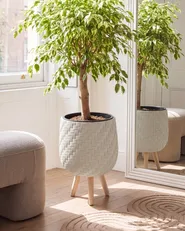 Blumentopf mit Beinen PAVONE 27 cm Hellbeige_1082266