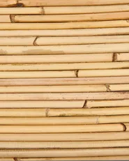 Gartensessel MAIORI Rattan Naturfarben_928275