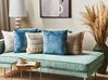 Dekokissen 2er Set DELICIOSA 45 x 45 cm Samtstoff Blau Pflanzenmuster