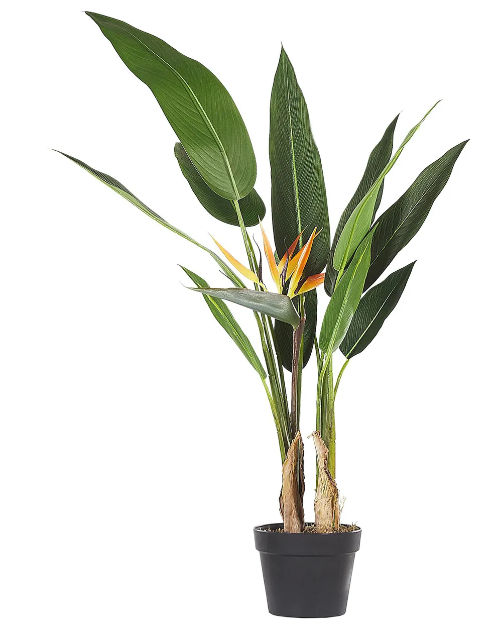 Kunstpflanze STRELITZIA TREE CH