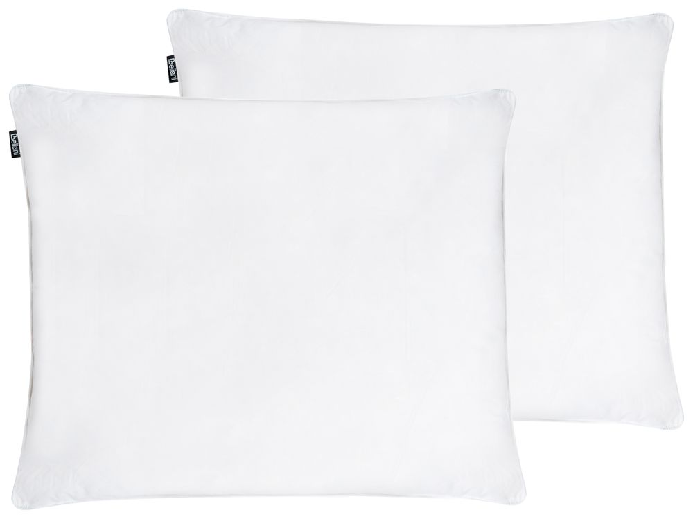 Set van 2 hoofdkussens FELDBERG Hoog 50 x 60 cm Eendenveren en eendendons Wit
