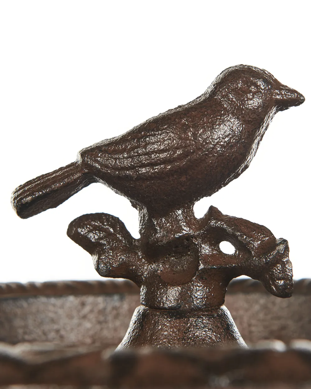 Bird Bath SWALLOW Brown_956212