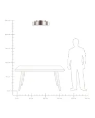 LED Ceiling Lamp DAWEI Metal Light Brown_824580
