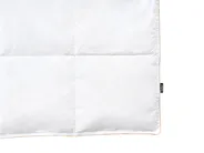 Bettdecke Entendaunen Mittelwarm EIGER 220 x 240 cm_1023226