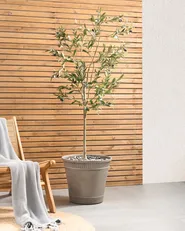 Plant Pot CISTUS 44 cm Grey_954124