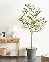 Kunstpflanze OLIVE TREE 178 cm Grün