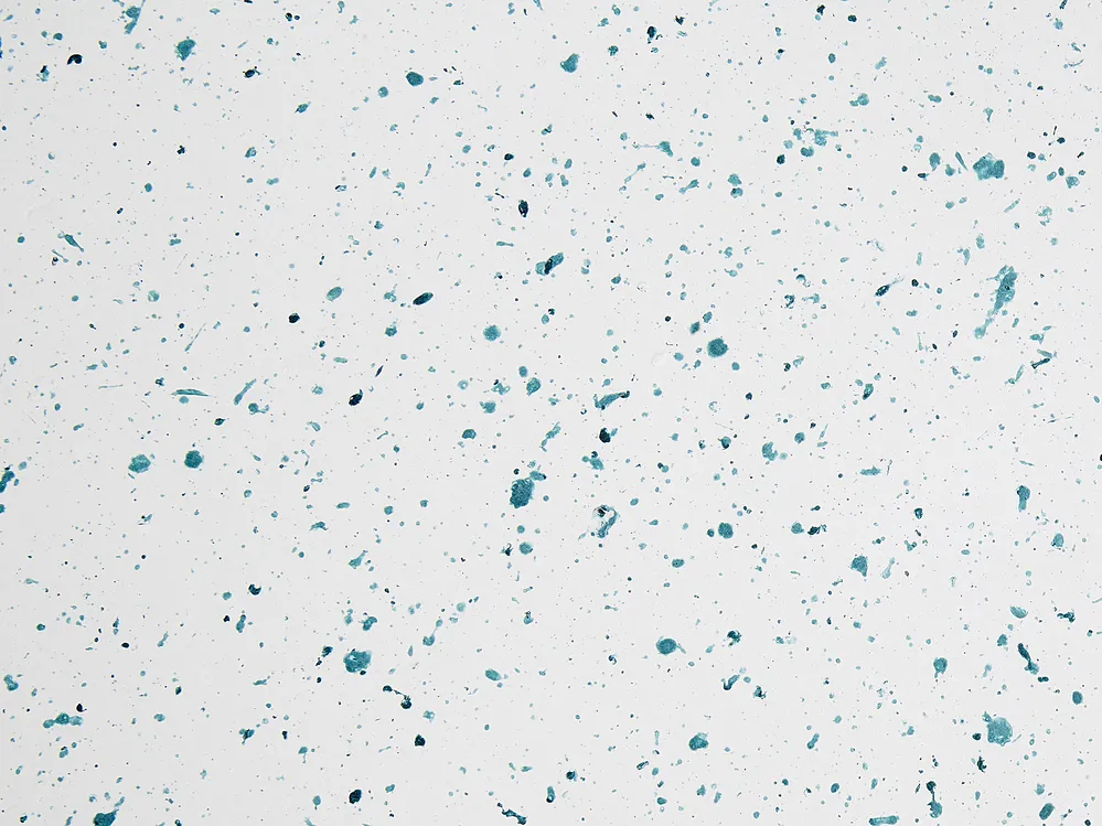 Beistelltisch CAORIA 40 cm 40 cm Terrazzo Optik Weiß_918799