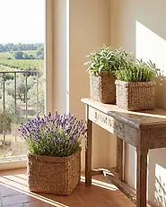 Set of 3 Plant Pots RIVULINE 23/27/30 cm Seagrass Natural_1183379