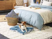 Tierbett ERGANI Samtstoff Blau_826439