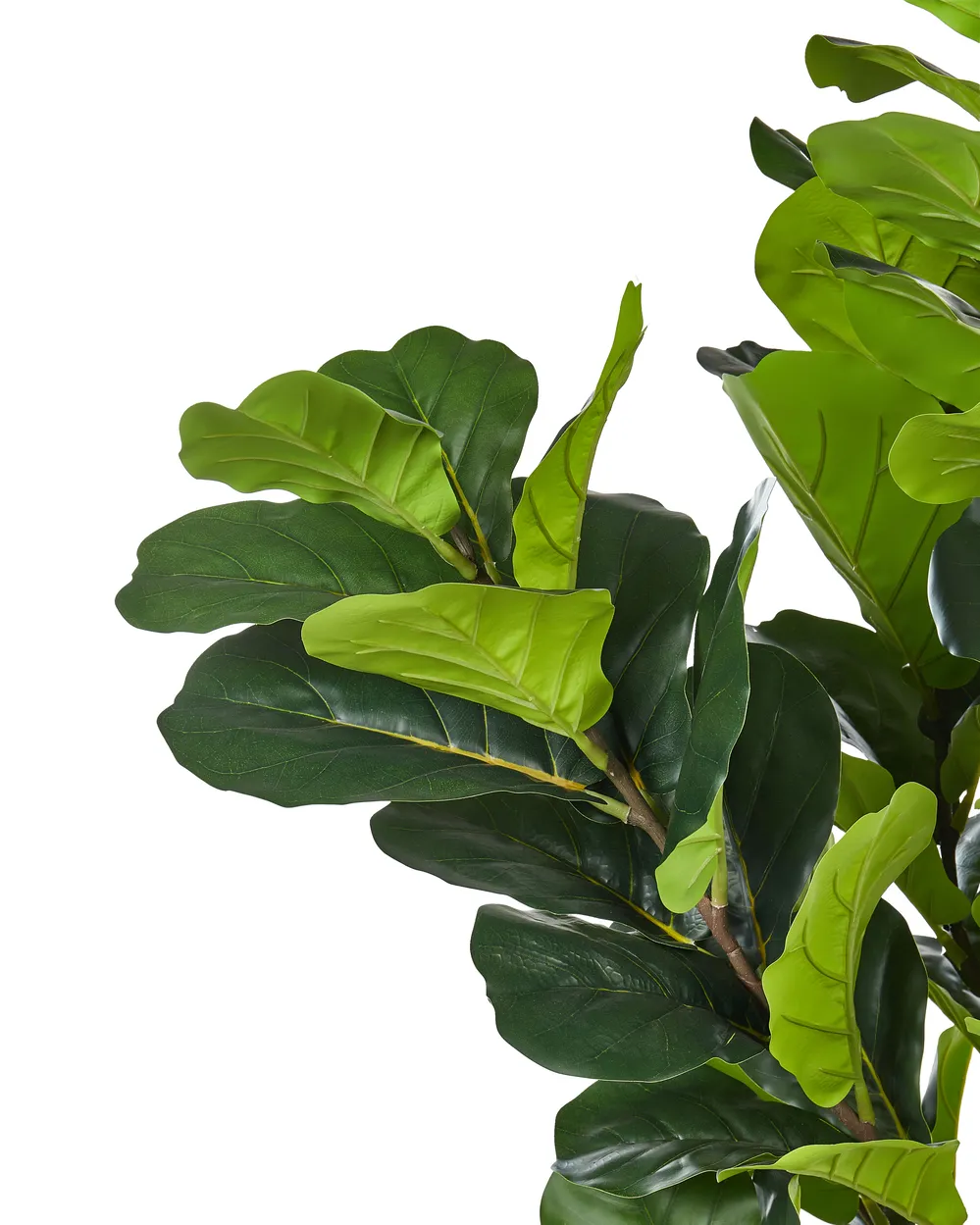 Artificial Plant FIG TREE 162 cm Green_917213