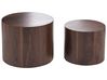 Couchtisch 2er Set MANTI Dunkelbraun