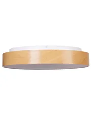 LED Deckenlampe BRAGOTO mit Fernbedienung mit Dimmer Metall Hellbraun_919194