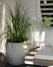 Plant Pot MYCENA 56 cm Off-White_1160909