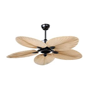 Ventilateurs de plafond