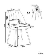 Esszimmerstuhl 2er Set ANSLEY Samtstoff Grau_802892