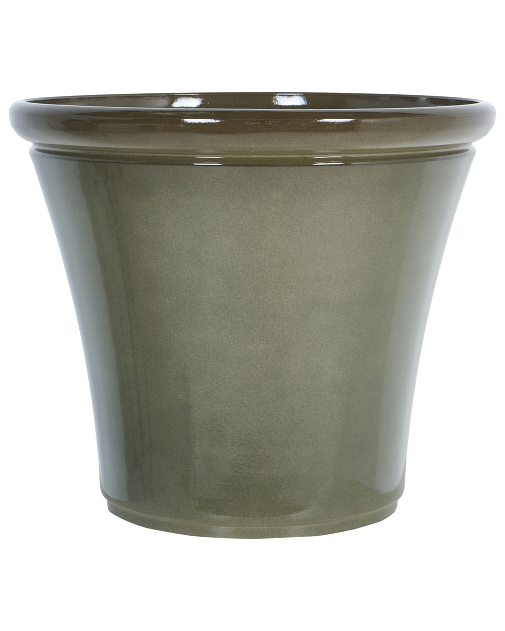 Lonec OLIVA 47 cm Zelena