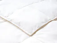 Bettdecke Entendaunen Mittelwarm EIGER 200 x 200 cm_1023210
