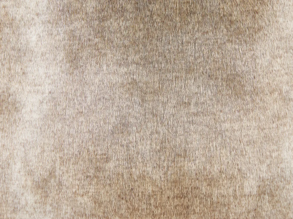 Dekokissen 2er Set HORDEUM 45 x 45 cm Webpelz Hellbraun Ohne Muster_822149