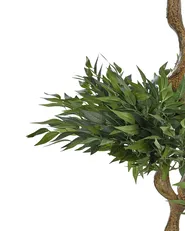Artificial Plant RUSCUS TREE 166 cm Green_917263