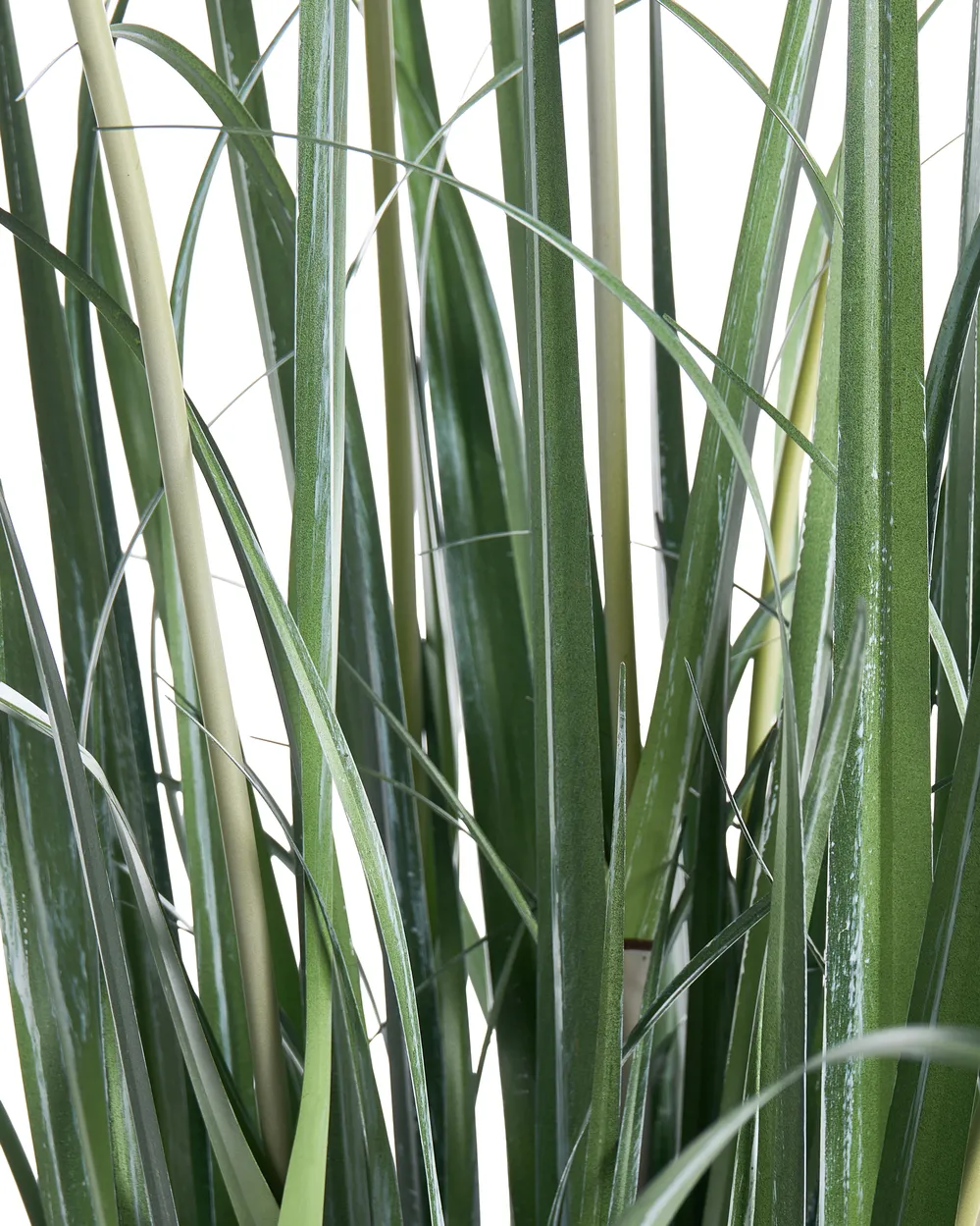 Kunstpflanze BULRUSH 135 cm Grün_1103919
