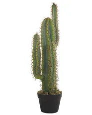 Artificial Plant CACTUS 78 cm Green_822890